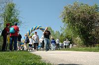 NAMIWalk07 (243) 